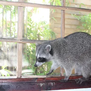 Close To The Town Utopia , Isla Holbox Mexico